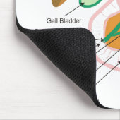 Biliaire systeemdiagram muismat (Hoek)