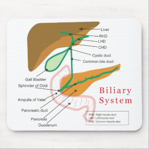 Biliaire systeemdiagram muismat