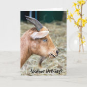biljart goat birthday kaart (Gele Bloem)