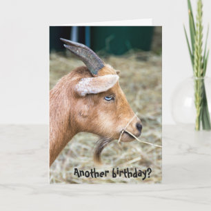 biljart goat birthday kaart