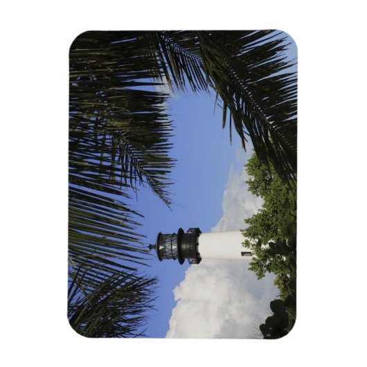 Bill Baggs Cape Florida Lighthouse, Bill Baggs 2 Magneet (Verticaal)