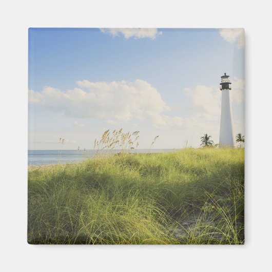 Bill Baggs Cape Florida Lighthouse, Bill Baggs Magneet (Voorkant)