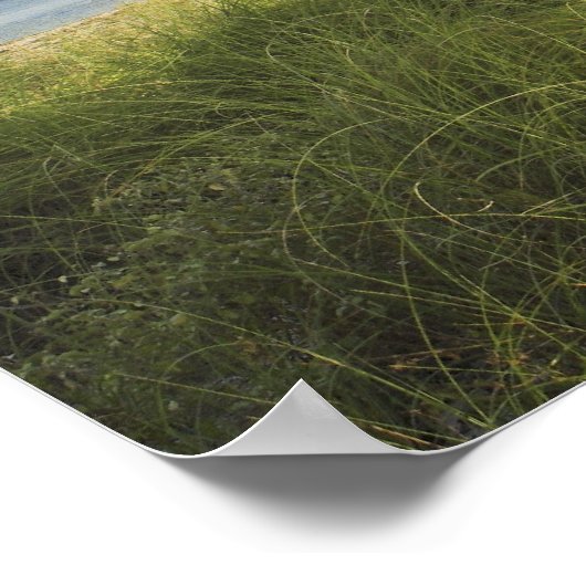 Bill Baggs Cape Florida Lighthouse, Bill Baggs Poster (Hoek)