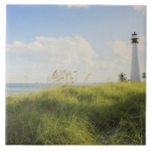 Bill Baggs Cape Florida Lighthouse, Bill Baggs Tegeltje (Voorkant)
