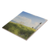 Bill Baggs Cape Florida Lighthouse, Bill Baggs Tegeltje (Zijkant)