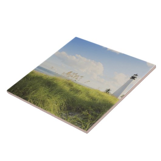 Bill Baggs Cape Florida Lighthouse, Bill Baggs Tegeltje (Zijkant)