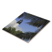 Bill Baggs Cape Florida vuurtoren, Bill Baggs 2 Tegeltje (Zijkant)