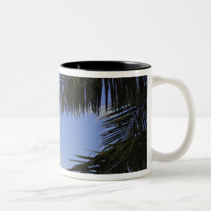 Bill Baggs Cape Florida-vuurtoren, Bill Baggs 2 Tweekleurige Koffiemok