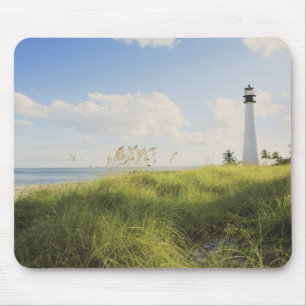 Bill Baggs Cape Florida-vuurtoren, Bill Baggs Muismat