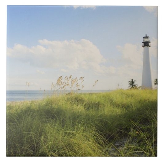 Bill Baggs Cape Florida-vuurtoren, Bill Baggs Tegeltje (Voorkant)