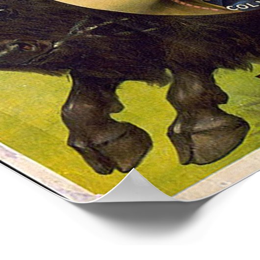 Bill Cody -1899 Poster (Hoek)