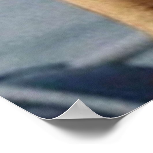 Bill Murray Life Aquatic Poster (Hoek)