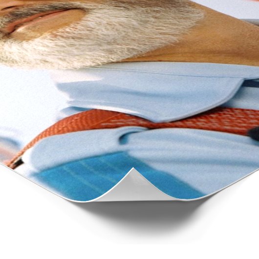 Bill Murray Life Aquatic Poster (Hoek)