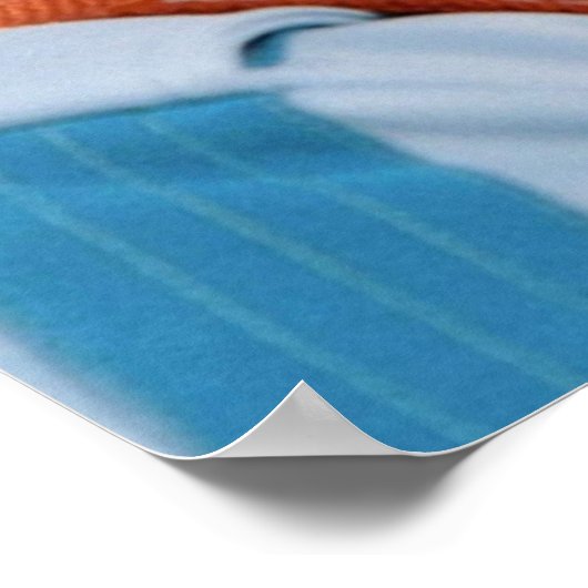 Bill Murray Life Aquatic Poster (Hoek)