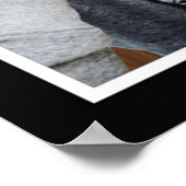 Bill skarsgard poster (Hoek)