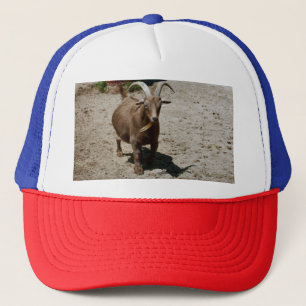 Bill Trucker Pet