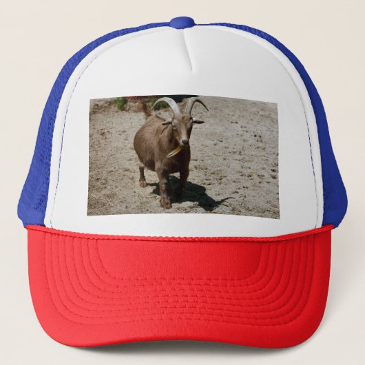 Bill Trucker Pet (Voorkant)