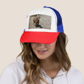 Bill Trucker Pet (In situ)