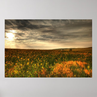 Bill's Vloerveld Poster