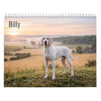 Billy 2027 wandkalender kalender