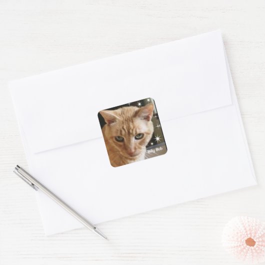 BILLY BOBCAT THORNTON STICKER (Envelop)