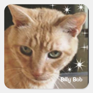 BILLY BOBCAT THORNTON STICKER