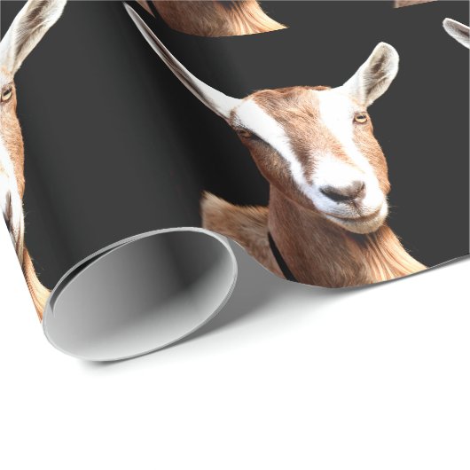 Billy Cadeaupapier (Rol Hoek)