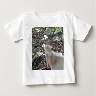 Billy Goat