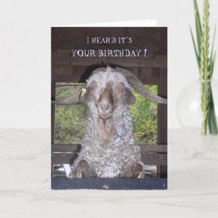 BILLY GOAT BIRTHDAY-KAART KAART