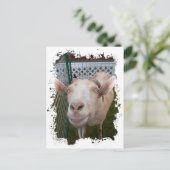 Billy Goat Briefkaart (Staand voorkant)