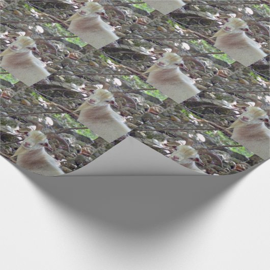 Billy Goat Cadeaupapier (Hoek)