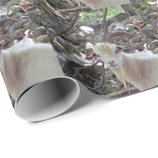 Billy Goat Cadeaupapier (Rol Hoek)