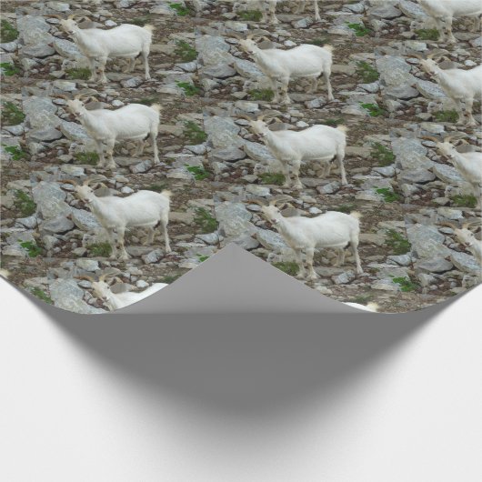 Billy Goat Cadeaupapier (Hoek)