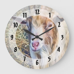 Billy Goat Closeup Grote Klok