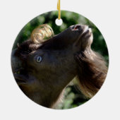 Billy Goat Keramisch Ornament (Achterkant)