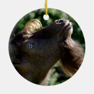 Billy Goat Keramisch Ornament
