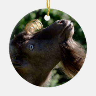 Billy Goat Keramisch Ornament