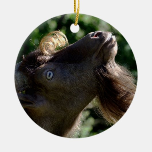 Billy Goat Keramisch Ornament (Voorkant)