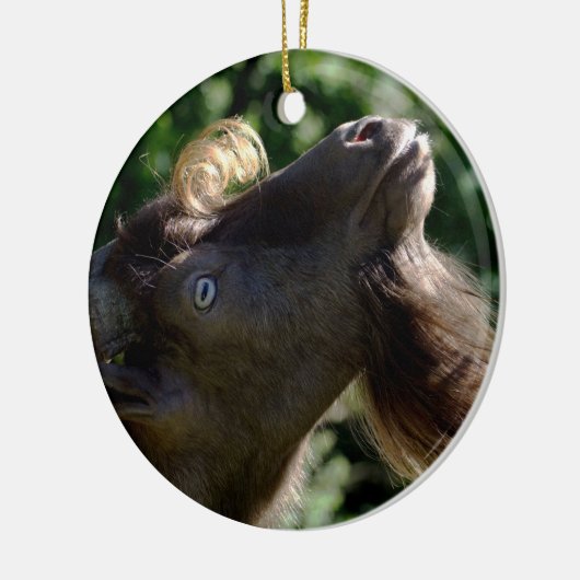 Billy Goat Keramisch Ornament (Links)