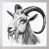 Billy Goat - Kunstdruk Poster (Voorkant)