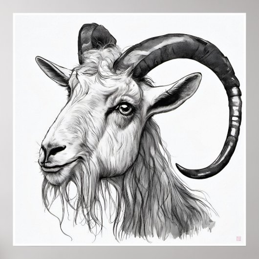 Billy Goat - Kunstdruk Poster (Voorkant)