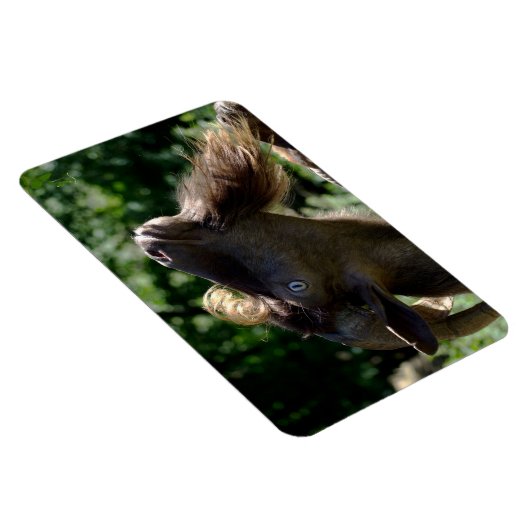 Billy Goat Magneet (Rechterzijde)