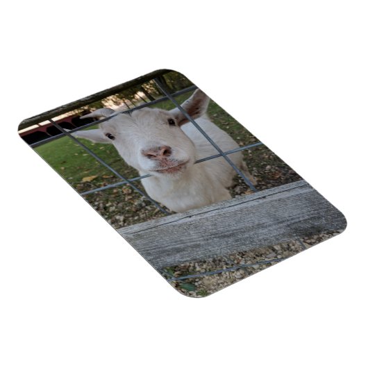 Billy Goat Magneet (Rechterzijde)