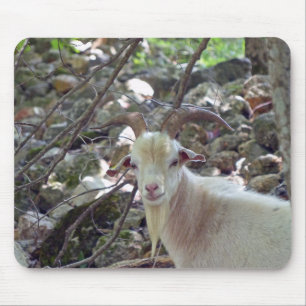 Billy Goat Muismat