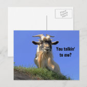 Billy Goat Photo Briefkaart (Voorkant / Achterkant)