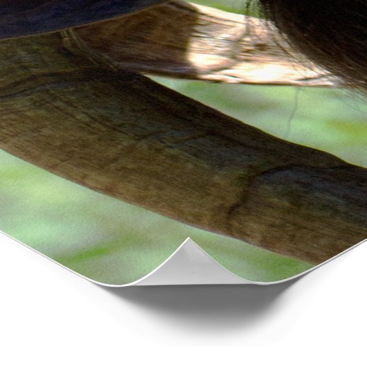 Billy Goat Poster (Hoek)