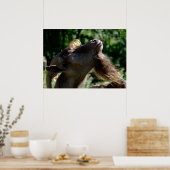 Billy Goat Poster (Keuken)