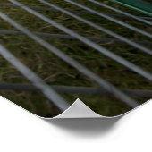 Billy Goat Poster (Hoek)