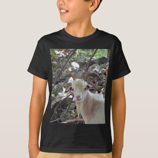 Billy Goat T-shirt (Voorkant)