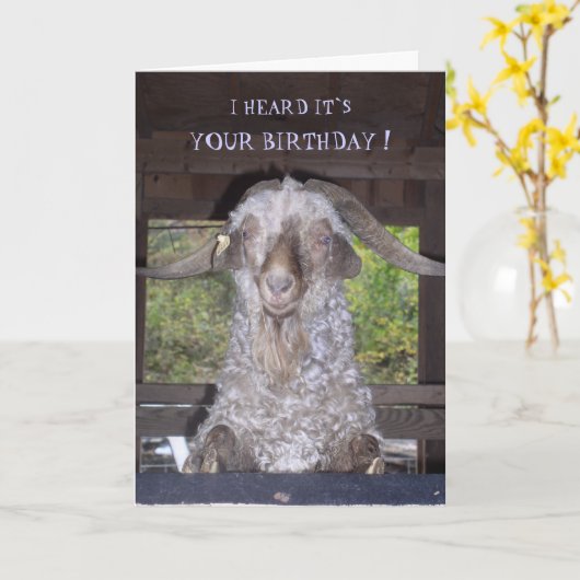 BILLY GOAT VERJAARDAG KAART (Gele Bloem)
